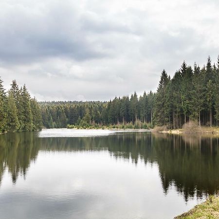 Ferienhaus Selke Am Bach Villa Clausthal-Zellerfeld Esterno foto