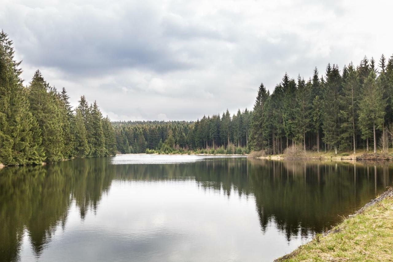 Ferienhaus Selke Am Bach Villa Clausthal-Zellerfeld Esterno foto